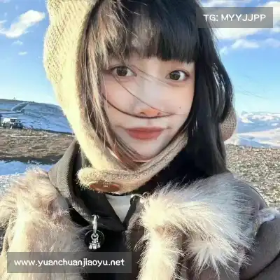 沈辉